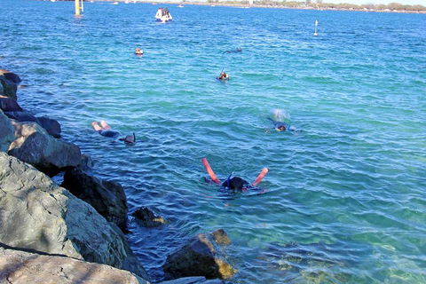 Wave Break Island Scuba Diving On The Gold Coast - Accommodation Directory 1