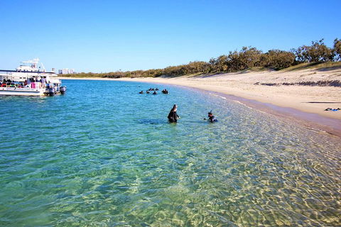 Wave Break Island Scuba Diving On The Gold Coast - Accommodation Directory 4
