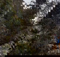 kunanyi / Mt. Wellington Guided Hiking Tour - Accommodation Directory