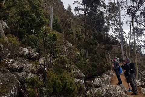 Kunanyi / Mt. Wellington Guided Hiking Tour - Accommodation Directory 0