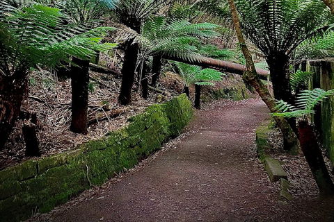 Kunanyi / Mt. Wellington Guided Hiking Tour - Accommodation Directory 1