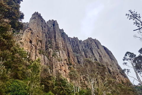 Kunanyi / Mt. Wellington Guided Hiking Tour - Accommodation Directory 4