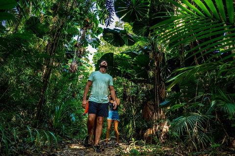 Full Day Daintree Rainforest And Mossman Gorge Tour - Accommodation Directory 0