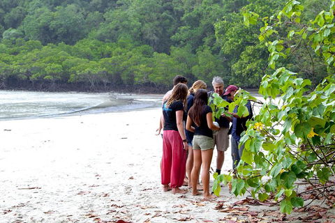 Full Day Daintree Rainforest And Mossman Gorge Tour - Accommodation Directory 2