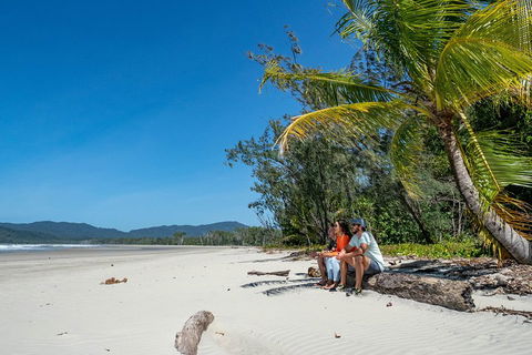 Full Day Daintree Rainforest And Mossman Gorge Tour - Accommodation Directory 4
