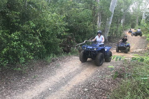 Cairns ATV Adventure Tour And Morning Train - Accommodation Directory 0