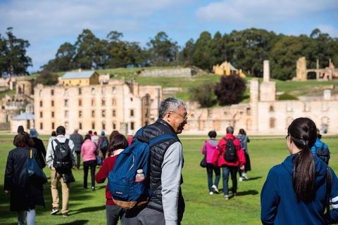 Port Arthur Express Shuttle - Accommodation Directory 4