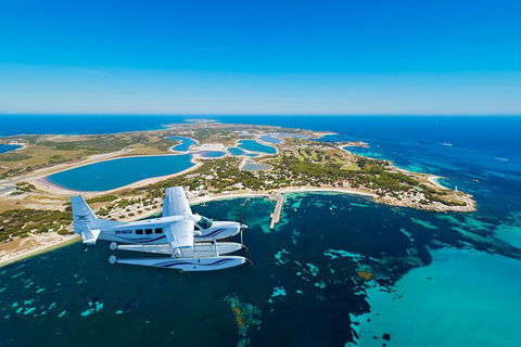 Full Day Tour By Seaplane To Rottnest Island Small Group Trip - Accommodation Directory 1