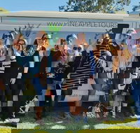 Full Day Mount Tamborine Winery Tour from Gold Coast - Accommodation Directory