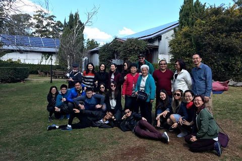 Full Day Mount Tamborine Winery Tour From Brisbane - Accommodation Directory 2