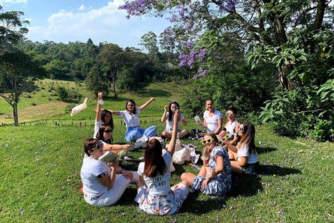 Full Day Mount Tamborine Winery Tour From Brisbane - Accommodation Directory 4