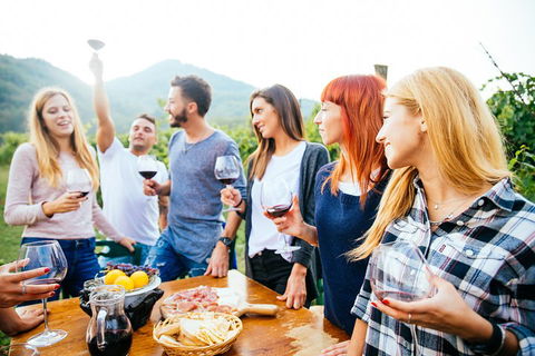 Full Day Mount Tamborine Winery Tour From Brisbane - Accommodation Directory 5