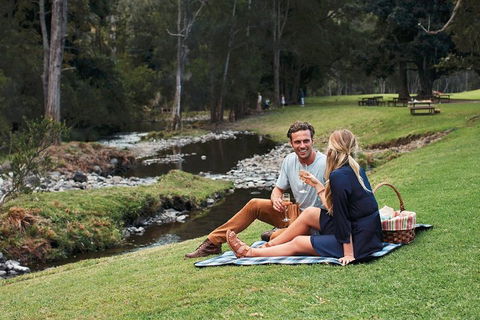Mt Tamborine - Hinterland Wonders Self Guided - Accommodation Directory 0