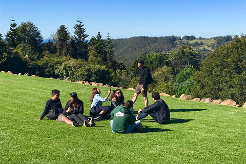 Mt Tamborine - Hinterland Wonders Self Guided - Accommodation Directory 1