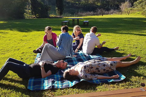 Mt Tamborine - Hinterland Wonders Self Guided - Accommodation Directory 2