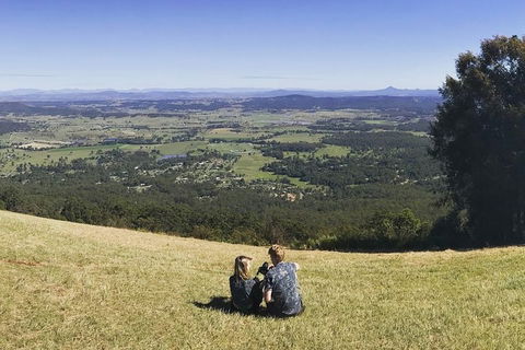 Mt Tamborine - Hinterland Wonders Self Guided - Accommodation Directory 4