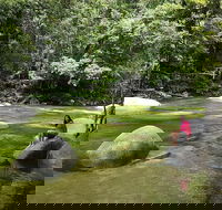 Daintree Dreaming Traditional Aboriginal Fishing from Cairns or Port Douglas - Accommodation Directory