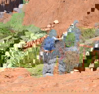 Afternoon Kata Tjuta Small Group Tour - Accommodation Directory
