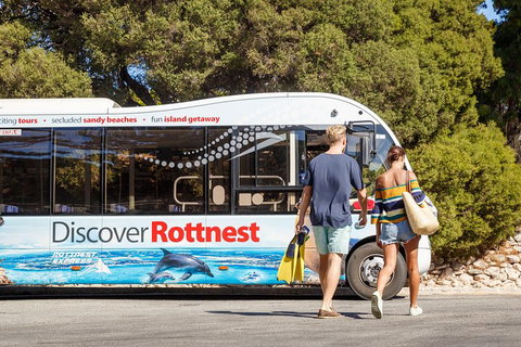Discover Rottnest With Ferry & Bus Tour From Perth Or Fremantle - Accommodation Directory 1