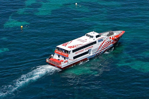 Discover Rottnest With Ferry & Bus Tour From Perth Or Fremantle - Accommodation Directory 3
