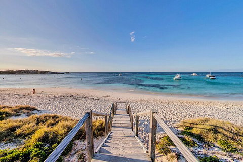 Discover Rottnest With Ferry & Bus Tour From Perth Or Fremantle - Accommodation Directory 4