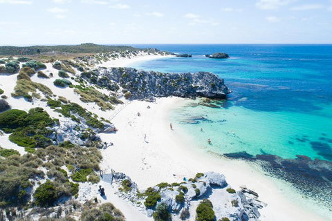 Discover Rottnest With Ferry & Bus Tour From Perth Or Fremantle - Accommodation Directory 5