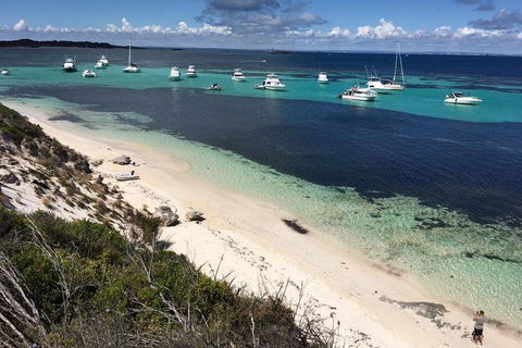 Experience Rottnest With Ferry & Bike Hire From Perth Or Fremantle - Accommodation Directory 0