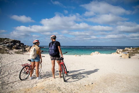Experience Rottnest With Ferry & Bike Hire From Perth Or Fremantle - Accommodation Directory 5