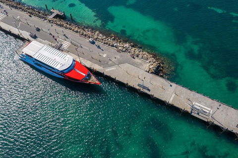 Rottnest Island Round-Trip Ferry From Perth Or Fremantle - Accommodation Directory 1