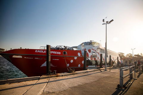 Rottnest Island Round-Trip Ferry From Perth Or Fremantle - Accommodation Directory 2