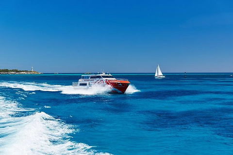 Rottnest Island Round-Trip Ferry From Perth Or Fremantle - Accommodation Directory 4