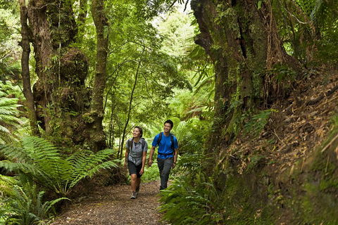 2-Day Great Ocean Road, Mornington Peninsula And Phillip Island Tour - Accommodation Directory 5