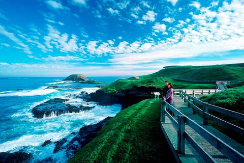 Puffing Billy, Moonlit Sanctuary & Penguins Day Tour - Accommodation Directory 2