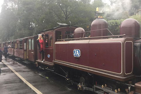 Puffing Billy, Moonlit Sanctuary & Penguins Day Tour - Accommodation Directory 4