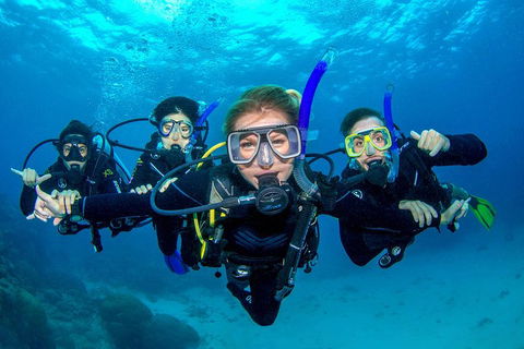 Great Barrier Reef Diving And Snorkeling Cruise From Cairns - Accommodation Directory 0
