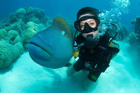 Great Barrier Reef Diving And Snorkeling Cruise From Cairns - Accommodation Directory 2