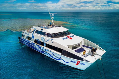 Great Barrier Reef Diving And Snorkeling Cruise From Cairns - Accommodation Directory 5