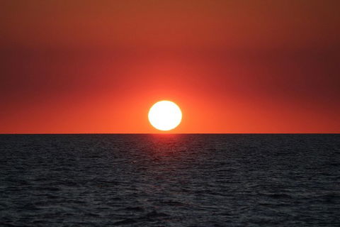 Roebuck Bay Snubfin Dolphin Cruise - Accommodation Directory 3