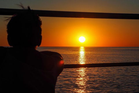 Roebuck Bay Snubfin Dolphin Cruise - Accommodation Directory 4