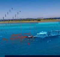 Ocean Free Green Island  Great Barrier Reef Snorkel Cruise Cairns 25 guests - Accommodation Directory