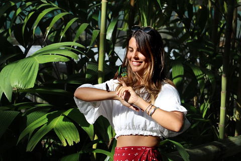Australian Butterfly Sanctuary - Accommodation Directory 1