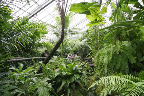 Australian Butterfly Sanctuary - Accommodation Directory 3