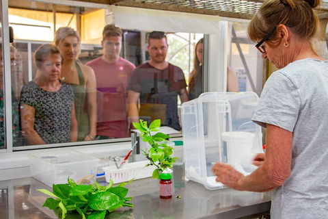 Australian Butterfly Sanctuary - Accommodation Directory 5