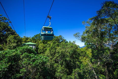 Classic Kuranda By Skyrail And Scenic Railway Including Rainforestation, Koala And Wildlife Park And Pamagirri Aboriginal Experi - Accommodation Directory 0
