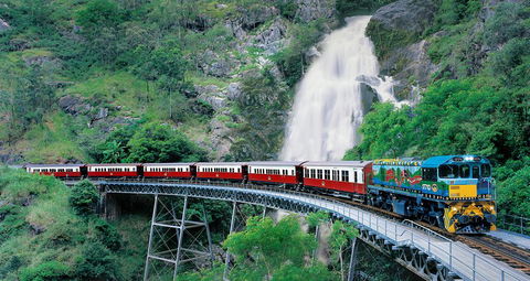 Classic Kuranda By Skyrail And Scenic Railway Including Rainforestation, Koala And Wildlife Park And Pamagirri Aboriginal Experi - Accommodation Directory 1