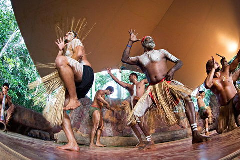 Classic Kuranda By Skyrail And Scenic Railway Including Rainforestation, Koala And Wildlife Park And Pamagirri Aboriginal Experi - Accommodation Directory 2