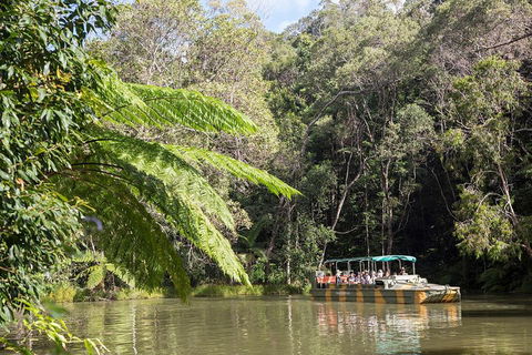Best Of Kuranda Including Skyrail, Kuranda Scenic Railway And Rainforestation - Accommodation Directory 5