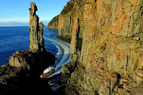 3-Hour Bruny Island Cruise From Adventure Bay, Bruny Island - Accommodation Directory 2