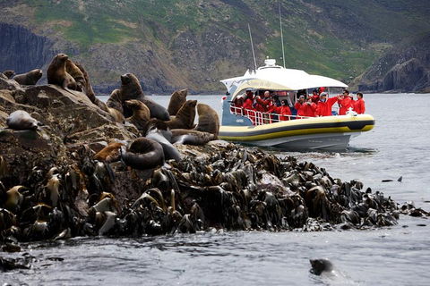 3-Hour Bruny Island Cruise From Adventure Bay, Bruny Island - Accommodation Directory 4