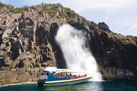 3-Hour Bruny Island Cruise From Adventure Bay, Bruny Island - Accommodation Directory 5